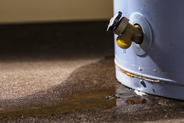 Best Flood restoration services  in North Corbin, KY