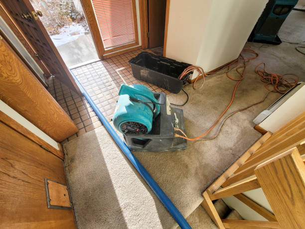 Best 24-hour water damage restoration  in North Corbin, KY