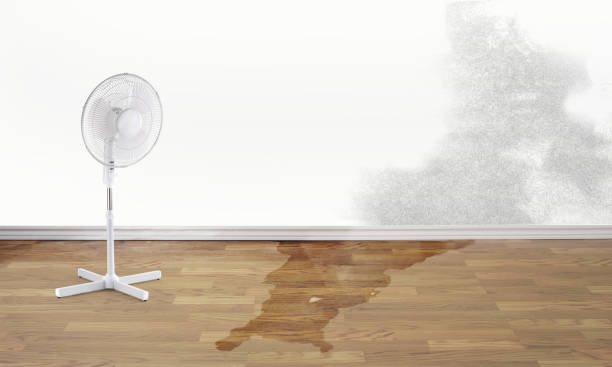 Best Water damage restoration services  in North Corbin, KY