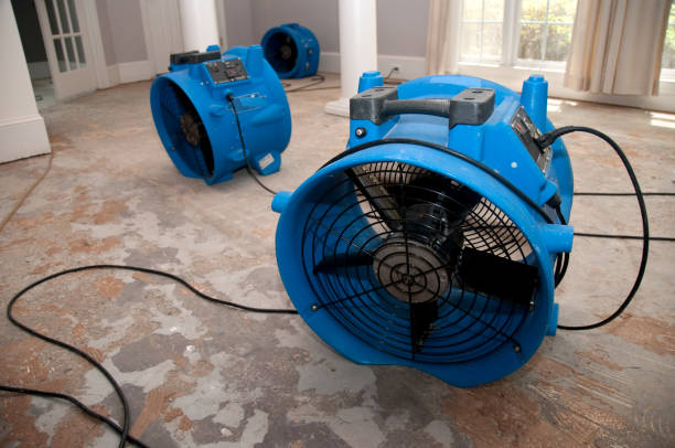 Best Flooded house restoration  in North Corbin, KY