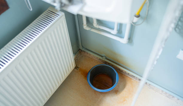 Best Mold removal after water damage  in North Corbin, KY