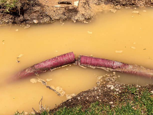 Best Residential water damage restoration  in North Corbin, KY