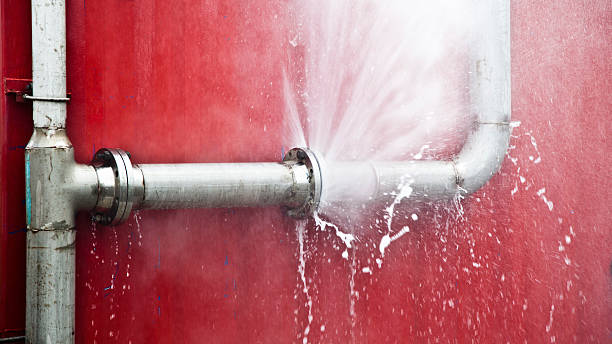 Best Water damage cleanup near me  in North Corbin, KY