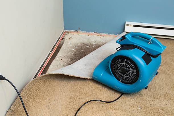 Best Basement water damage restoration  in North Corbin, KY