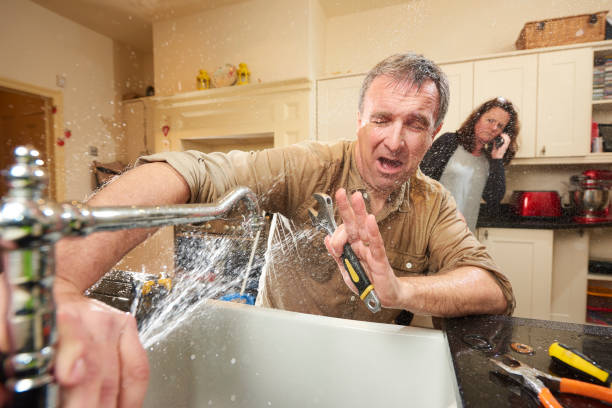 Best Professional water damage repair  in North Corbin, KY